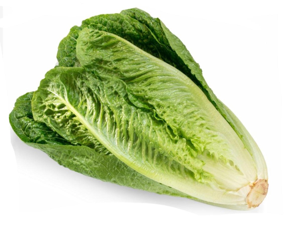 ROMAINE LETTUCE - bag/6 heads - case/7 bags